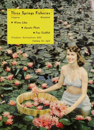 Click on the image to view an original catalog from Three Springs Fisheries